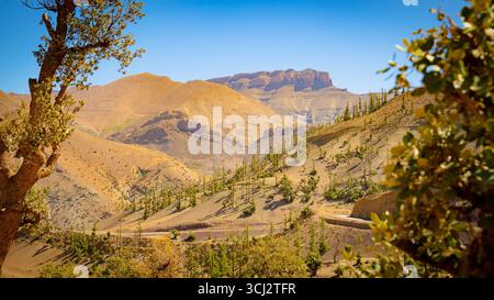 Paysage de montagne désertique au Maroc avec route courbe et terrain sec accidenté sous un soleil de midi brillant Banque D'Images