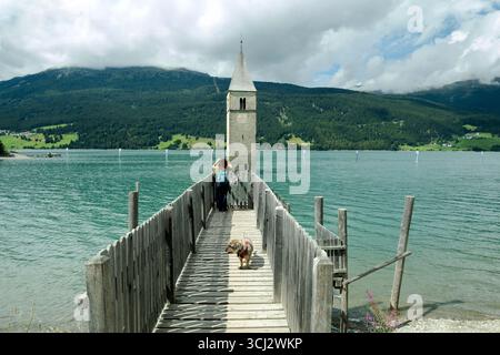Touriste avec chien marchant sur une passerelle en bois menant au clocher du village submergé de Curon venosta, dans le lac Resia, tyrol du Sud, Italie Banque D'Images