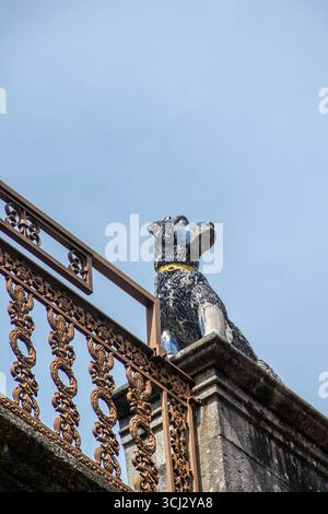 Vue rapprochée d'une sculpture de gargouille de chien sur une balustrade en pierre dans le centre historique de Guimaraes Portugal. Banque D'Images