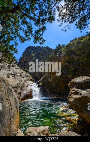 Roaring River Falls dans le Parc National Kings Canyon Banque D'Images