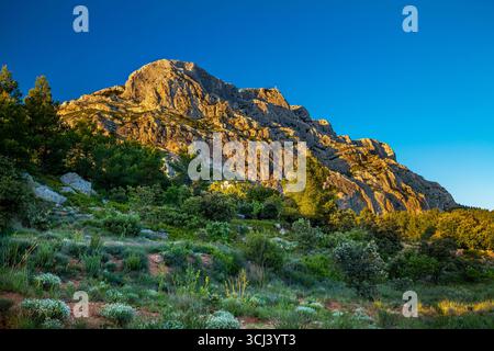 MONT SAINTE-VICTOIRE AIX-EN-PROVENCE PROVENCE FRANCE Banque D'Images