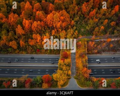 Harmonie avec la nature NJ - vue aérienne du pic du feuillage d'automne dans le New Jersey où la nature et la civilisation créent l'harmonie et les co-sorties. Banque D'Images