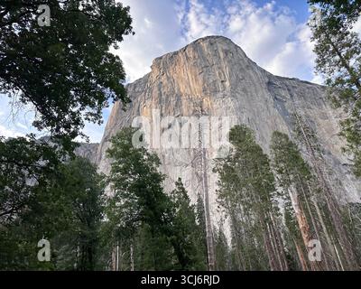 El Capitan, l'imposant monolithe de granit du parc national de Yosemite, en Californie, s'élevant au-dessus de la forêt de pins sous un ciel partiellement nuageux. Banque D'Images
