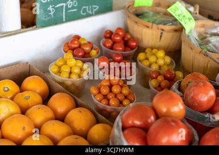 Tomates cerises rouges et jaunes fraîchement cueillies Banque D'Images