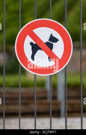 Panneau rond non autorisé chiens sur clôture – symbole de rue de l'interdiction des animaux de compagnie Banque D'Images
