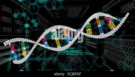 Hélice ADN blanche flottante dérivant à travers des racks de serveur sombres, avec grille hexagonale et flux de code Banque D'Images