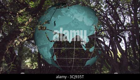 Affichage d'une superposition de globe numérique semi-transparente planant au-dessus de la forêt, avec des lignes de grille de latitude Banque D'Images