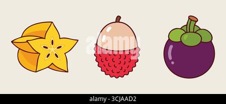 Un panneau mince affiche trois fruits dans des couleurs simples, y compris le litchi brillant carambole en forme d'étoile et le mangoustan rond. Illustration de Vecteur