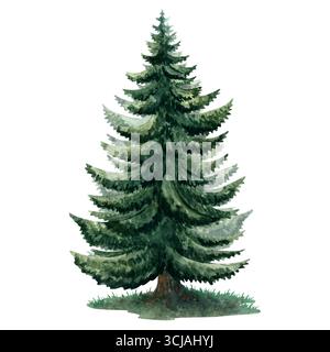 Illustration d'arbre d'épicéa aquarelle, parfait pour les cartes d'hiver, les affiches, les motifs, les fonds d'écran et les dessins festifs Banque D'Images