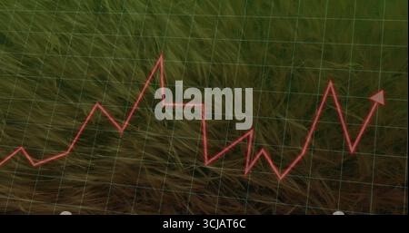 Affichage d'un graphique en zigzag rouge avec une flèche fluctuant sur de hautes herbes sèches avec superposition de grille verte Banque D'Images