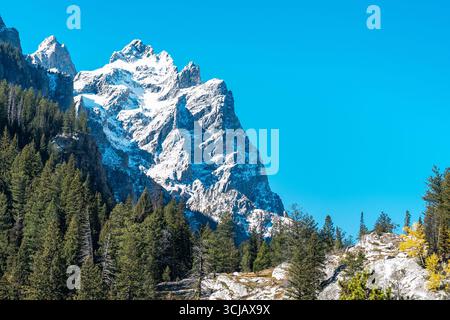La montagne Grand Teton s'élève majestueusement derrière une crête couverte d'arbres à feuilles persistantes dans la chaîne Teton des montagnes Rocheuses. Banque D'Images