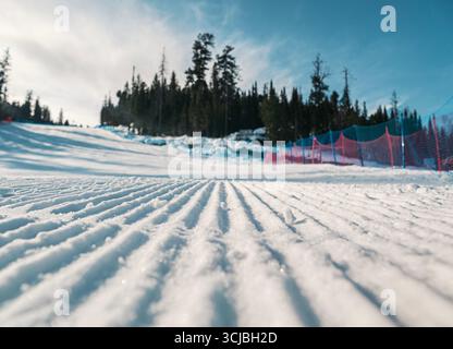 Piste de ski enneigée avec pistes fraîchement entretenues et toile de fond d'arbres à feuilles persistantes sous un ciel bleu clair Banque D'Images