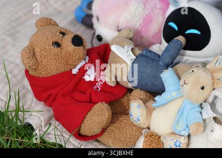 Assortiment de jouets mignons en peluche couchés ensemble sur une couverture de pique-nique. Faygate, Horsham, Angleterre Banque D'Images