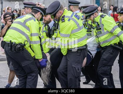 Londres, Royaume-Uni. 6 septembre 2025. La police arrête et emmène des manifestants qui prennent part à un rassemblement pro-palestinien, pour avoir manifesté leur soutien au groupe interdit Palestine action, sur la place du Parlement, Westminster. Banque D'Images