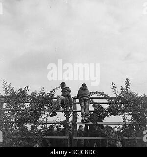 Défilé militaire à Novi Sad, en Serbie, photographié avec un appareil photo Hasselblad à l'aide d'un film noir et blanc endommagé et expiré depuis 30 ans. Banque D'Images