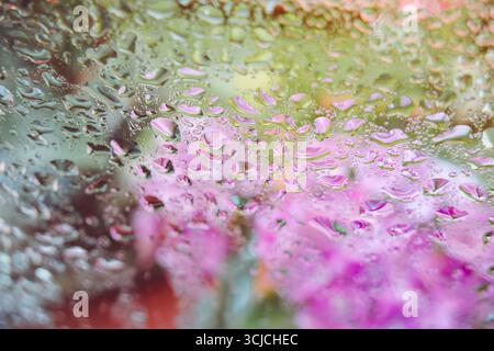 Capture artistique de gouttes de pluie sur verre avec des reflets vifs de fleurs floues. Les roses et les verts vibrants créent une atmosphère sereine et onirique, Banque D'Images