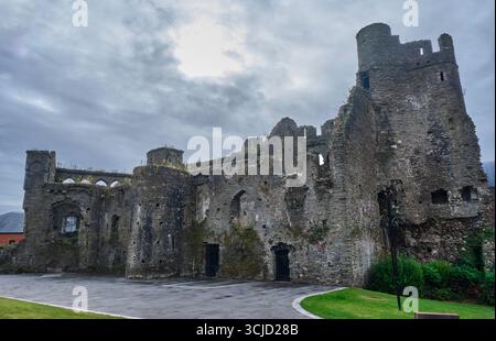 Château de Swansea, Swansea Banque D'Images
