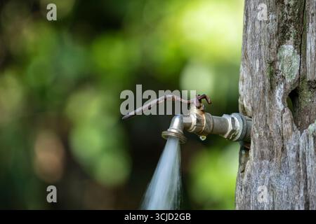 L'eau courante d'un robinet dans le fond d'un vieil arbre. Concept de consommation et d'utilisation de l'eau dans l'île tropicale de Bornéo, Malaisie. Gros plan Banque D'Images