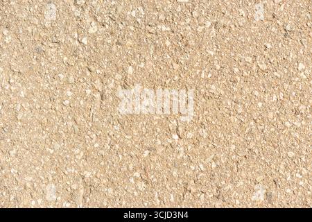 Skateboarder plein d'adrénaline naviguant sur un terrain urbain, entouré de touches rouges audacieuses Banque D'Images