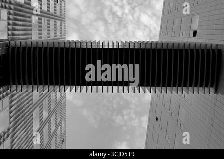 Vue en noir et blanc d'une passerelle piétonne à ailettes reliant deux tours de bureaux à IJDock, Amsterdam, pays-Bas, photographiée depuis le sol. Banque D'Images