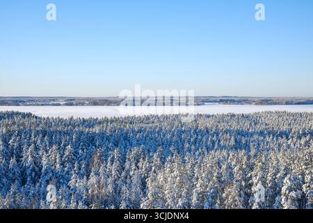 Vaste scène hivernale avec des arbres chargés de neige sous un ciel bleu clair, capturant la beauté tranquille de la nature et invitant à un sentiment de calme et de Banque D'Images