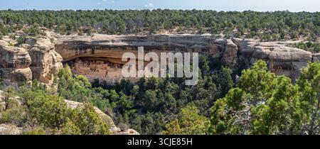 Une large vue panoramique met en valeur les anciennes habitations ancestrales de falaise de Puebloan nichées dans une alcôve de grès massive au parc national de Mesa Verde, C. Banque D'Images