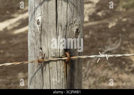 Gros plan de fil barbelé rouillé attaché à un poteau en bois altéré, créant une barrière rustique Banque D'Images