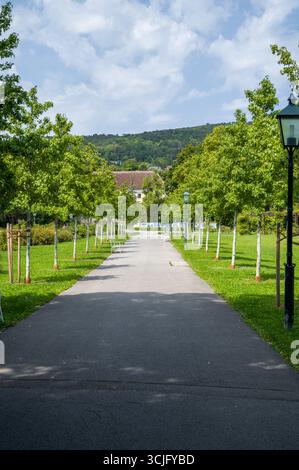 Un sentier paisible bordé d'arbres et de bancs invite les visiteurs à se promener et à se détendre. Le paysage soigné offre une escapade paisible hors de la ville Banque D'Images