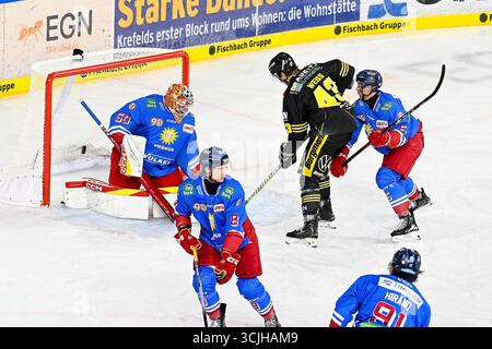 Eishockey DEL2 -Testspiel : Krefeld Pinguine vs Düsseldorfer EG AM.07.09.2025 in der Yayla Arena in Krefeld Tor zum 2 :0 Foto : osnapix Banque D'Images