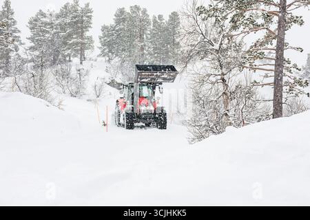 Tractor dégage activement la neige dans un paysage enneigé, entouré d'arbres et d'une atmosphère hivernale sereine, faisant la démonstration de machines agricoles en AC Banque D'Images