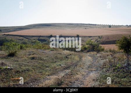 Un vaste, beau paysage sec avec des collines ondoyantes et une végétation clairsemée. Le terrain présente de l'herbe brune et des arbres lointains sous un ciel dégagé Banque D'Images