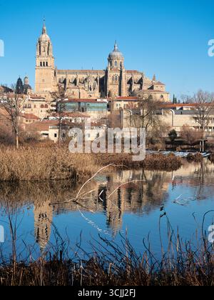 Cathédrale de Salamanque reflétée dans la rivière Tormes : une vue panoramique de la cathédrale emblématique et son reflet sur une journée d'hiver calme, avec des roseaux secs dans le th Banque D'Images
