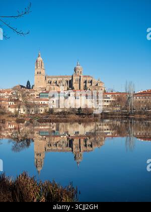 Cathédrale de Salamanque reflétée dans la rivière Tormes : une vue panoramique de la cathédrale emblématique et son reflet sur une journée d'hiver calme, avec des roseaux secs dans le th Banque D'Images