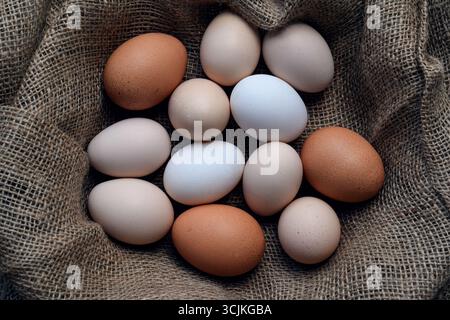 Vue de haut en bas d'œufs de poule assortis de différentes tailles et couleurs disposées sur un tissu rustique en toile de jute. Ferme naturelle nourriture fraîche et protéine organique con Banque D'Images