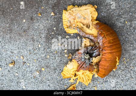 Une citrouille douce et en décomposition se trouve en morceaux après avoir été écrasée sur le trottoir après Halloween. Banque D'Images