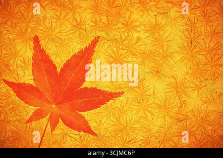 Feuilles d'automne sur fond vintage. Texture d'automne grunge parfaite. Banque D'Images