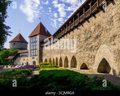 Tallinn, Estonie - 21 juillet 2022 : vue du musée Kiek in de Kok et des tunnels du Bastion. Banque D'Images