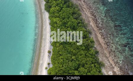 Vue aérienne des eaux turquoises vibrantes rencontrant la végétation luxuriante et le rivage rocheux, créant un contraste saisissant de couleurs et de textures, Maldives, Maldives. Banque D'Images