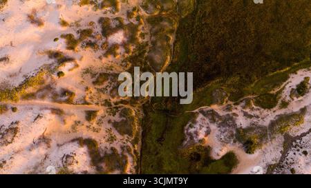 Vue aérienne de sables dorés rencontrant des marais vert foncé, scène descendante d'une tapisserie de textures contrastées sous la douce lumière. Chatham, Cape Cod, Massachusetts, États-Unis. Banque D'Images