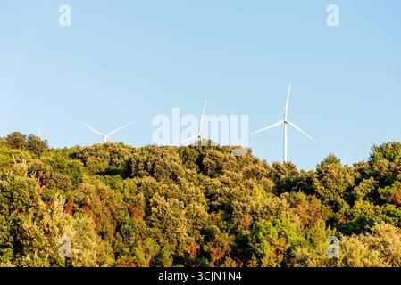 Les générateurs éoliens génèrent un paysage électrique, l'énergie verte du futur Banque D'Images