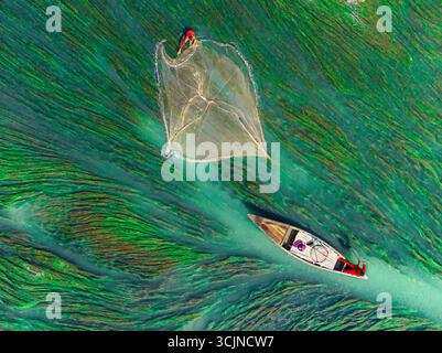 Badalgachhi, Bangladesh - 09 décembre 2022 : vue aérienne d'un pêcheur solitaire jetant son filet d'un petit bateau au milieu d'une végétation aquatique verte et vibrante. Banque D'Images