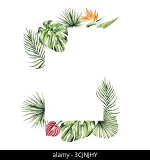 Cadre de feuille Monstera, Strelitzia et modèle de fleurs d'anthurium rouge. Aquarelle dessinée à la main palmier areca, tons verts vibrants. Botanique isolée Banque D'Images