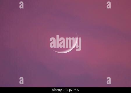 Le premier croissant de lune, également connu sous le nom de croissant de lune initial, un petit ruban de lumière à l'ouest au coucher du soleil, en forme de « C » renversé Banque D'Images