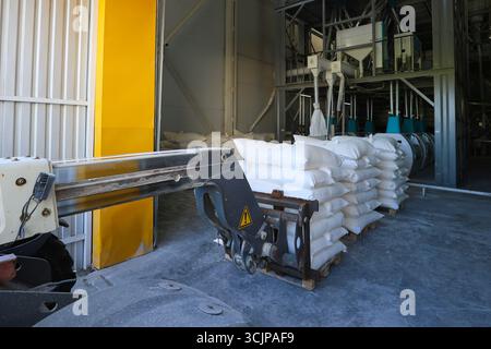 Chariot élévateur manipulant des sacs de sucre blanc de l'entrepôt pour le remplissage dans un camion à l'extérieur. Photo de haute qualité Banque D'Images