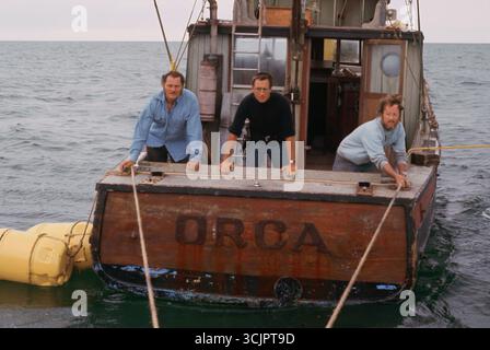 ROBERT SHAW, ROY SCHEIDER et RICHARD DREYFUSS dans JAWS (1975), dirigé par STEVEN SPIELBERG. Crédit: Zanuck/Brown Productions/Universal Pictures / Album Banque D'Images