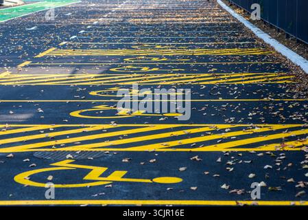 Des places de parking fraîchement peintes pour les personnes handicapées à Belgrade, Serbie, marquées de symboles jaune vif sur de l'asphalte foncé, parsemées de feuilles d'automne Banque D'Images