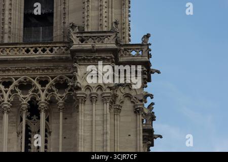 Une photo des beaux détails architecturaux de l'église notre Dame de Paris Banque D'Images