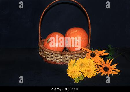 Fond d'automne avec des citrouilles saisonnières dans un panier et des fleurs nature sur des tableaux noirs, espace copie, pose à plat. Joyeux Thanksgiving concept, sélectif F Banque D'Images