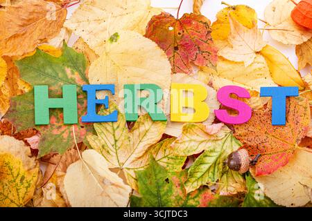 Le mot 'HERBST' écrit en lettres colorées sur les feuilles d'automne Banque D'Images