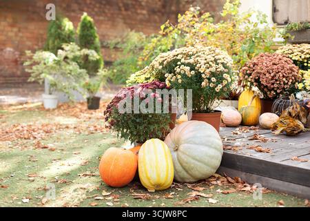 Porche d'entrée décoré à la maison avec des citrouilles dans le panier et des fleurs chrysanthèmes. Halloween, Thanksgiving. Terrasse extérieure décorée à l'automne. Banque D'Images